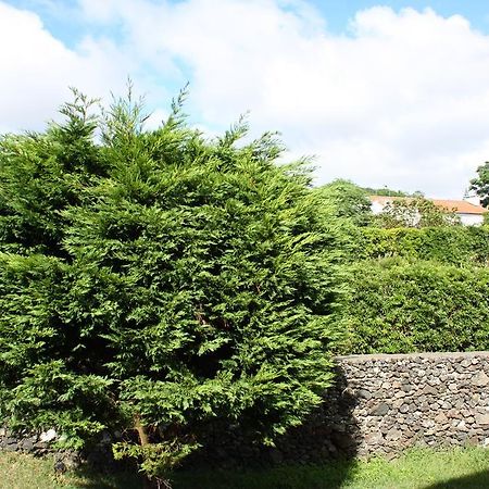Apartamento Mar E Serra Ponta Delgada  Exterior photo